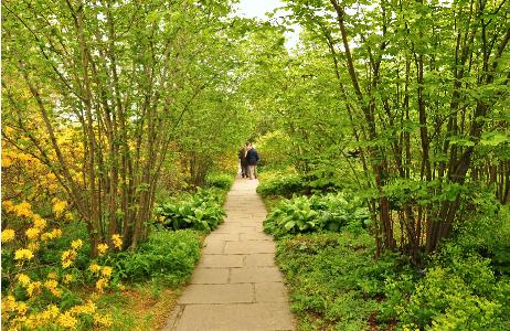 The Nuttery Sissinghurst mei 2012