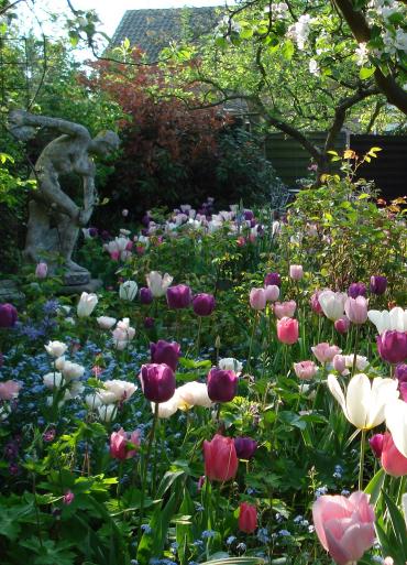 TuinenaandeKustRomantischerozentuinmetbloembollenkl1