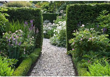 TuinLouisevandenAkkerborders