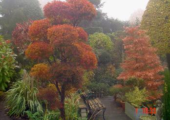 Valkenhoftopiarytuin2