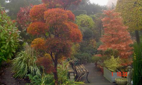 Valkenhoftopiarytuin2