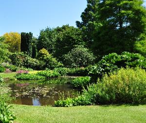 WaterGardensvijverssfeerbeeldBethChatto