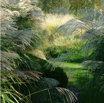 BNtuinGelderlandgrassenborder